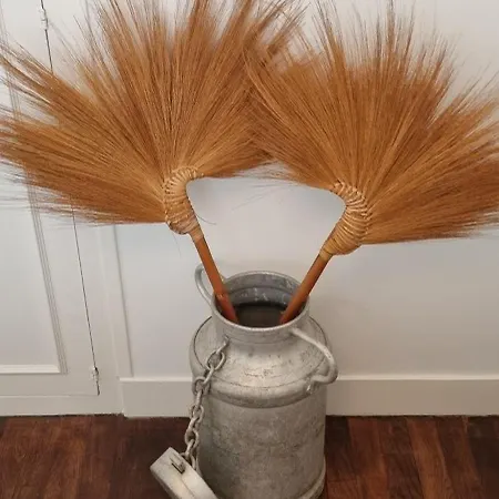 Georgette-sur-mer Apartamento