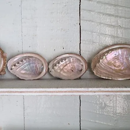 Georgette-sur-mer Apartamento