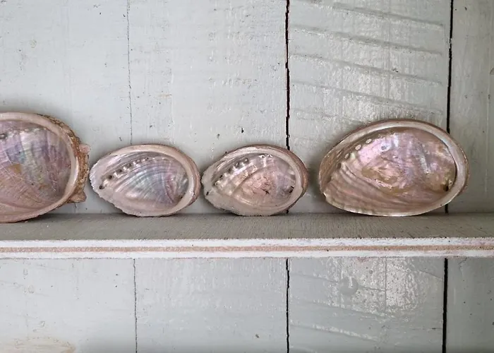 Georgette-sur-mer Apartament